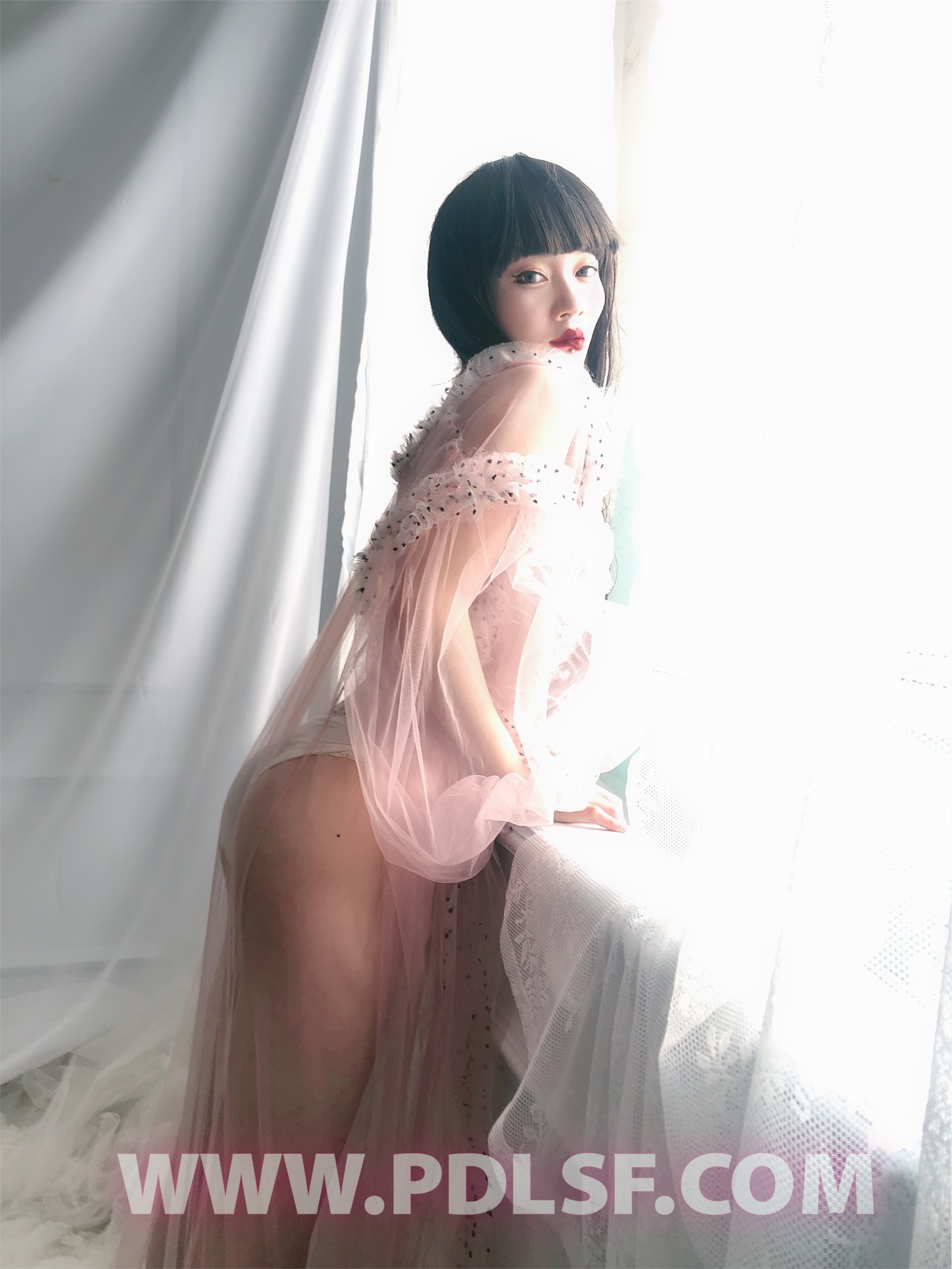 PDL潘多拉 2020.02.03 专辑No.275